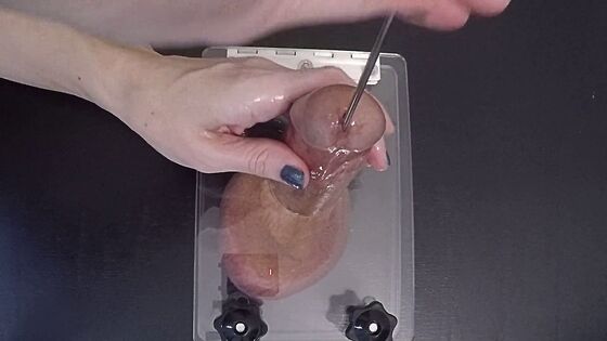 femdom sounding urethal sounding xv hub cum shot with sound inserted hd
